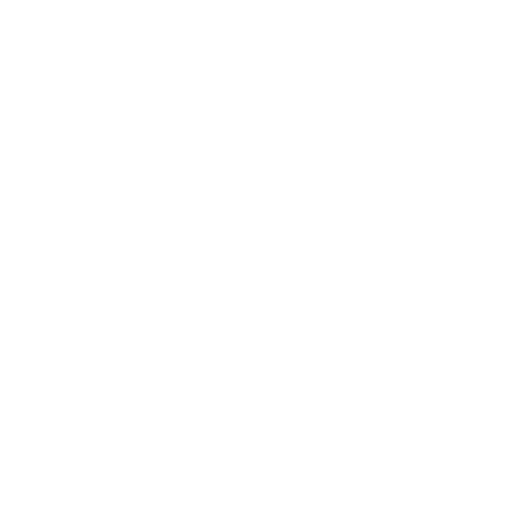 Leon Tonhäuser Logo